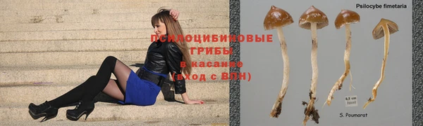 MESCALINE Алзамай
