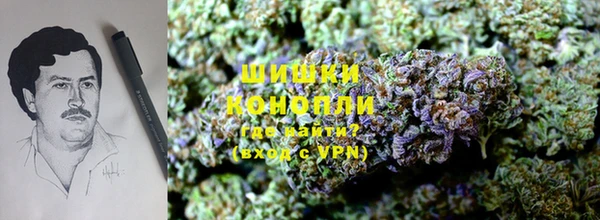 MESCALINE Алзамай
