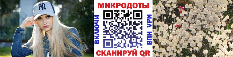 Псилоцибиновые грибы мухоморы  даркнет сайт  Тобольск 